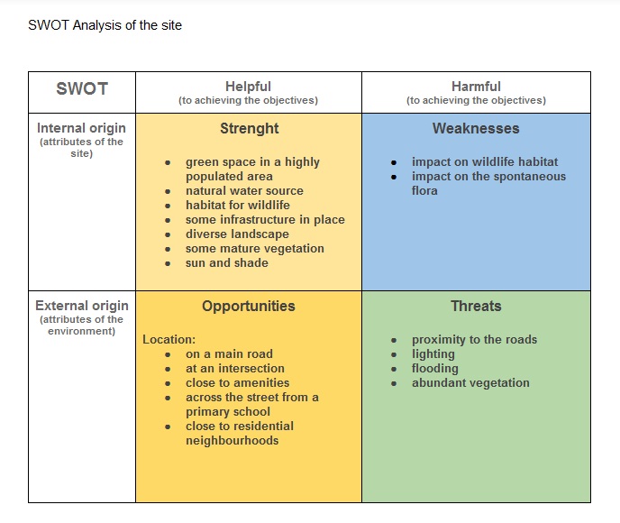 Swot Analysis Group Work Example