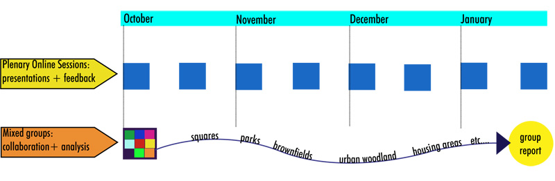 Course structure.jpg