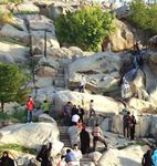 plantings trees and shrubs between the rocks