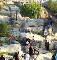 plantings trees and shrubs between the rocks