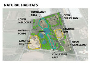 Classification of different physical conditions existing on site