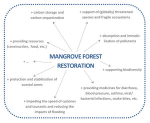 Benefits mangroves.jpg