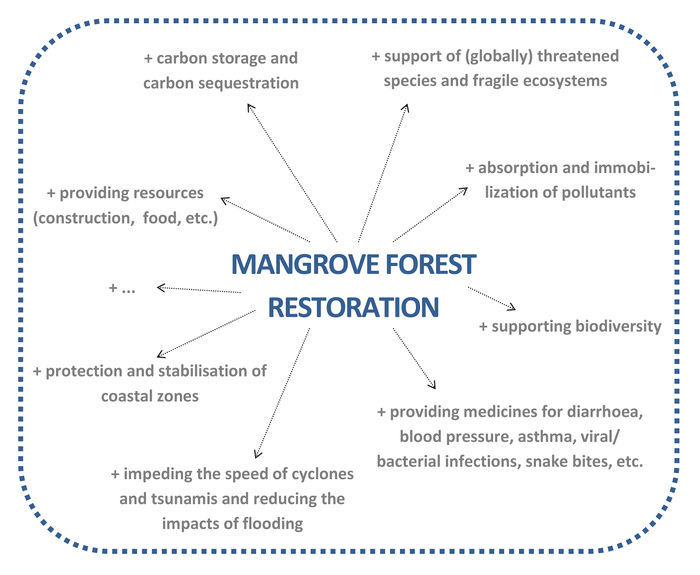 Benefits mangroves.jpg