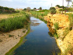 Girona River at El Verger