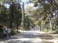 Thumbnail for version as of 20:02, 18 December 2018