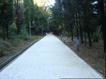 Pedestrian road in the park