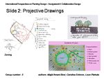 Projective drawings