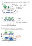 Options 1 and 2 of smart water usage