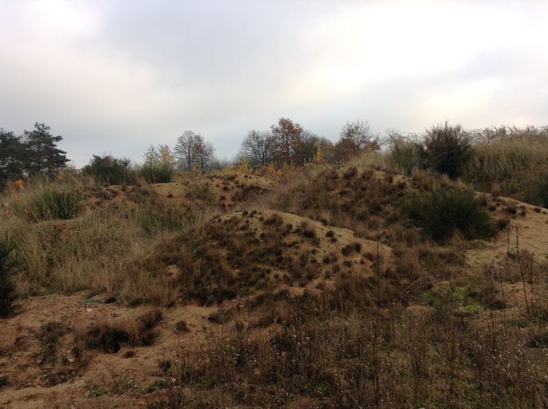 File:Sand dunes that have formed over time.JPG