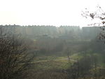 View from Kommodsbakken towards the Residential Area (1).jpg