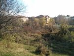 Green area near elementary school