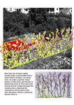 This drawing shows how a permeable barrier could be made with vegetation. The barrier is simple, instead of being a bought fence, it could be made from old steel cabers in an interesting unique formation, perhaps working with the rail line to give a post-industrial "vegetation takes over" kind of aesthetic.