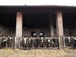 Old animal shelter