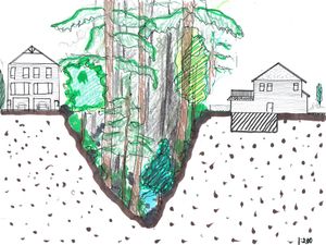 Ravine Cross Section