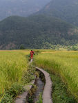 Water distribution through canals