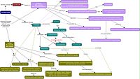 Landscape Concepts in Comparison - relationship between different concepts.jpg
