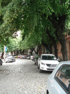 Belgrade - elements of potential cultural landscape (1).jpg