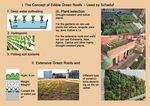 Roof farming, green roofs and walls