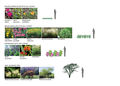 Selection of plants based on their height with an emphasis on the native plants