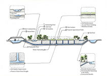 Potentiality Section (Hani)