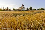 Field in front of St. George's