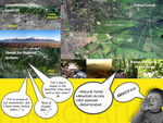 Characterization of the local conflict