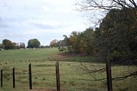 Agricultural Farmland