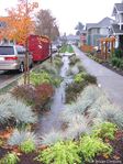 Sustainable stormwater management