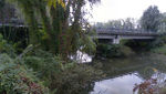 The site: The dead river branch in the point of the crossing with the main road (upper level)