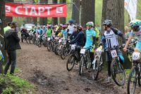 Cycling races in the Baum Grove. Image author: Ilya Nagny