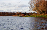 Lake, forest and sauna