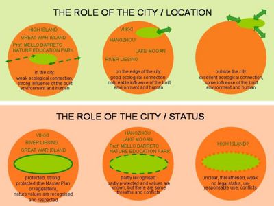 THE ROLE OF THE CITY.jpg