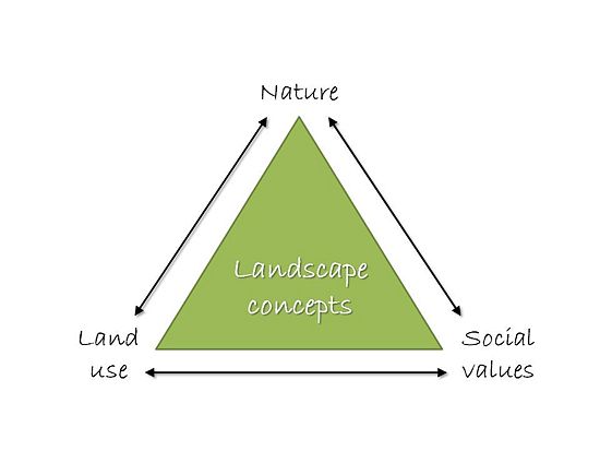 Landscape concepts.JPG