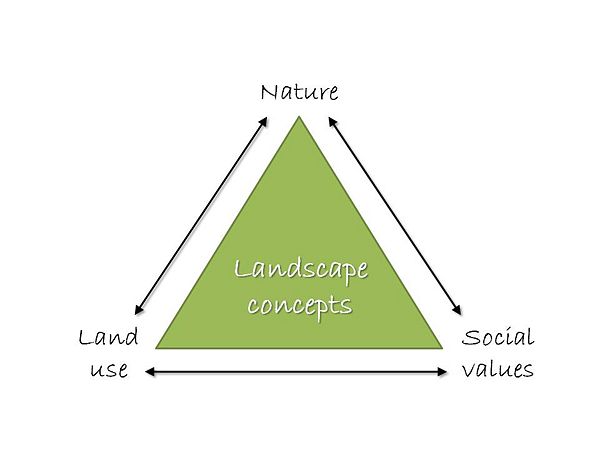 Landscape concepts.JPG