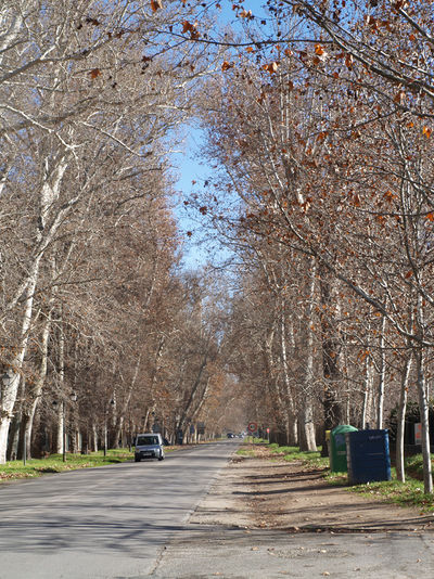 East Road adjacent to Jardin del Principe 01.jpg