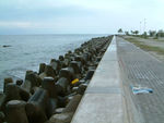 Sea Wall which Protected City of Male