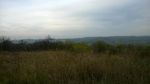 Grassland ecosystem in Mirijevo