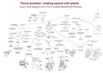 Concept Map, Creating Spaces with plants, group 4