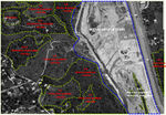 Characterization of land cover, referred to the vegetation dynamic