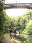 A comparison of green infrastructure along the canals with distance from the city center - outside city limits.