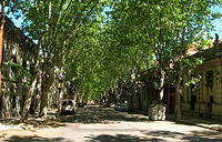 Landscape scale street daily Montevideo