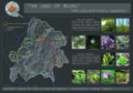 Thumbnail for version as of 16:08, 13 May 2009