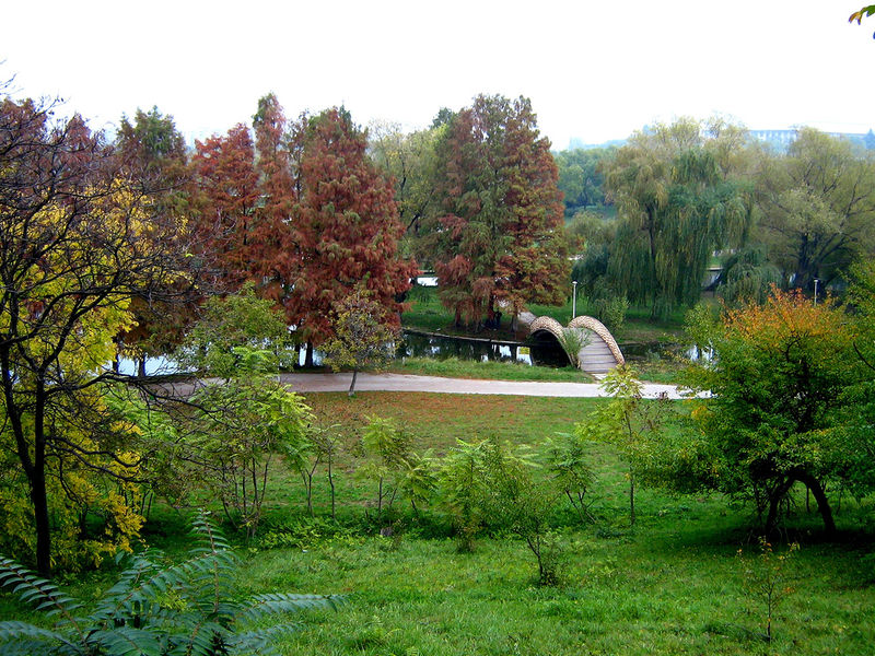 File:Tineretului.jpg