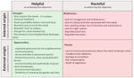 Morii Lake Island SWOT Analysis