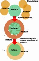 Evolution of High Island