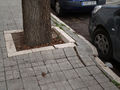 Thumbnail for version as of 23:27, 14 January 2013