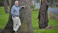 Environmentalists pressured state government road development authority to save 400 year old trees during a road widening project (https://www.heraldsun.com.au/leader/south-east/frankston-environmentalists-join-campaign-to-save-string-of-400yearold-river-red-gums/news-story/f33e871de6e22fd02187cfc0fb33eb64)