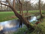 summer dry pond