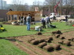 Building the gardens