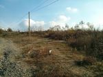 Grassland ecosystem in Mirijevo